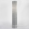 1/2 "x1/2" PVC bersalut mesh mallas electrosolodadas